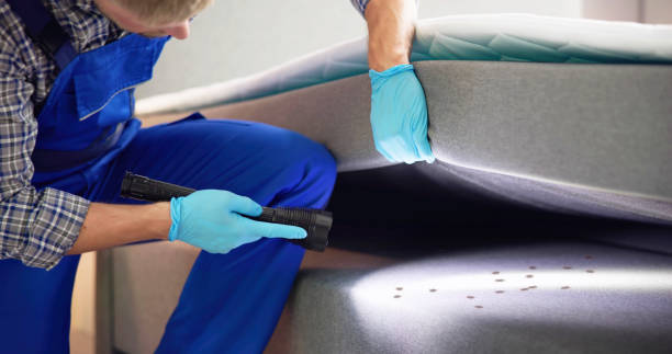Best Local Pest Control Services  in Liberty, IN