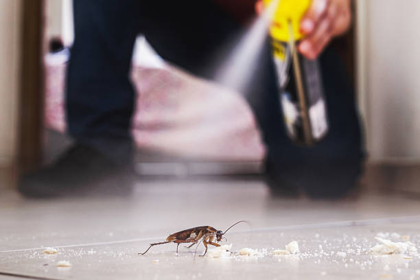 Best Best Pest Control Companies  in Liberty, IN