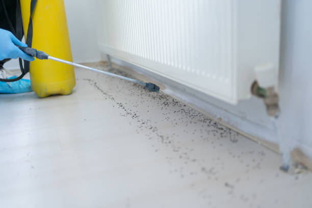 Best Ant Control Services  in Liberty, IN