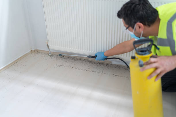 Best Wasp Removal Services  in Liberty, IN